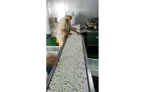我公司鵪鶉蛋生產(chǎn)線(xiàn)螺旋煮蛋機獲得國家專(zhuān)利證書(shū)